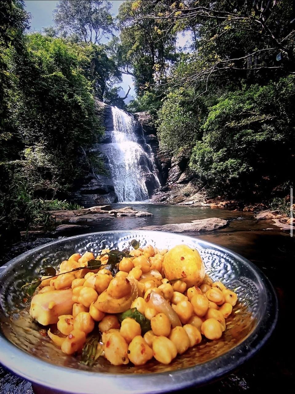 Shenaya Plantation - WhatsApp Image 2025 09 21 at 17.54.55 b014e132